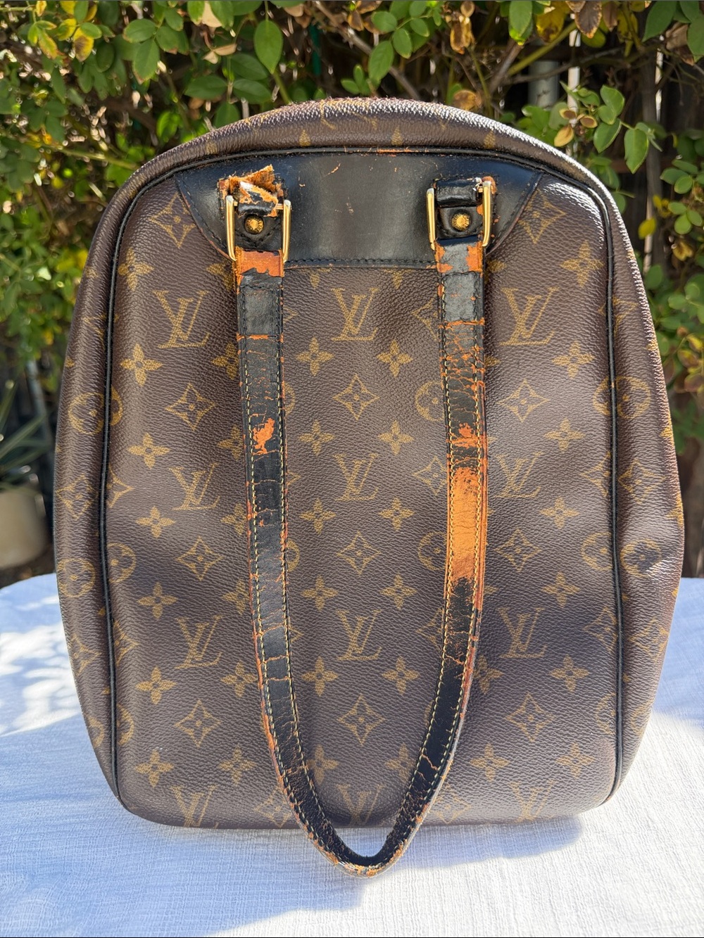 Louis Vuitton LV Monogram Excursion bag